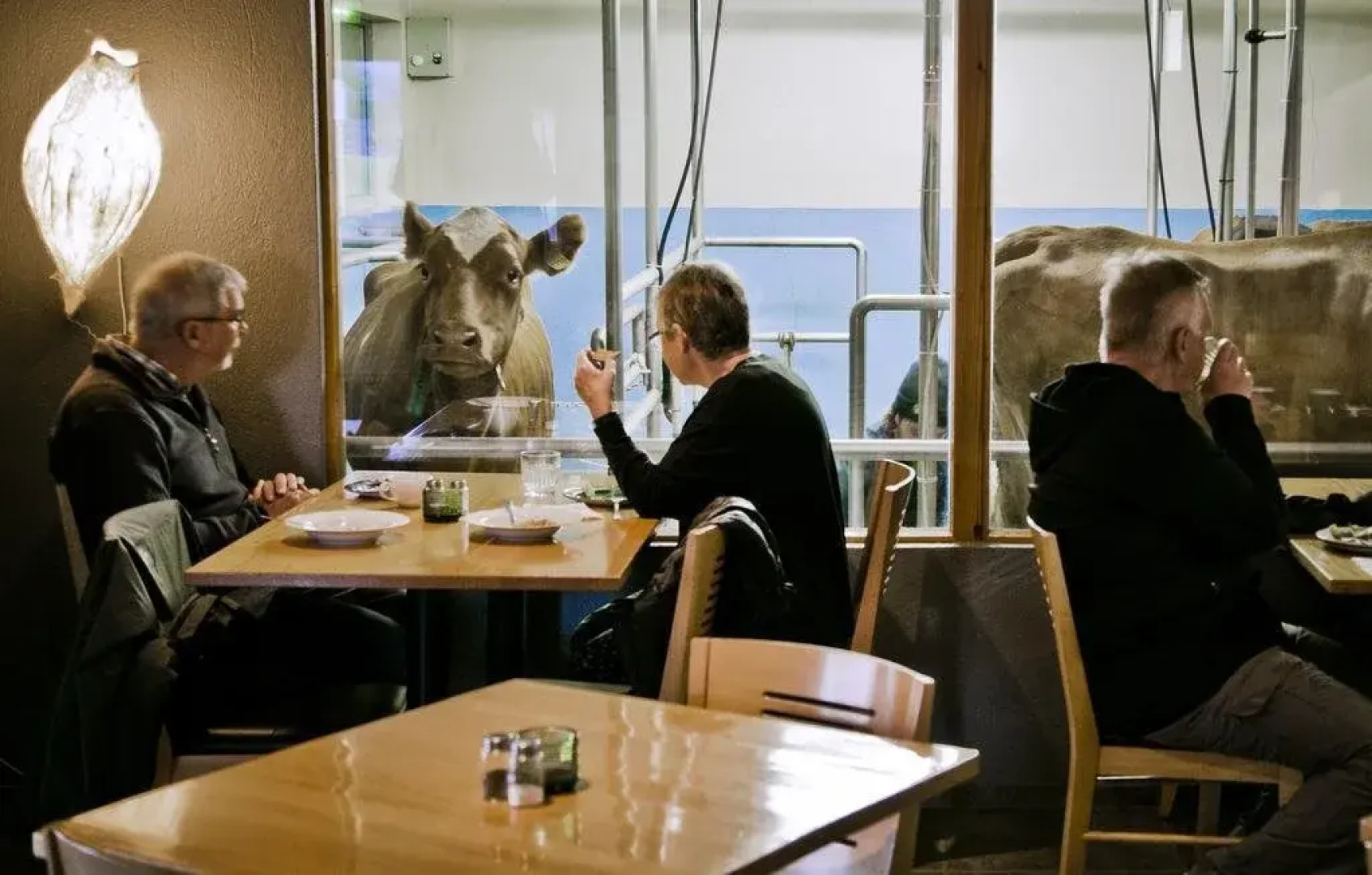 Vogafjós Guesthouse