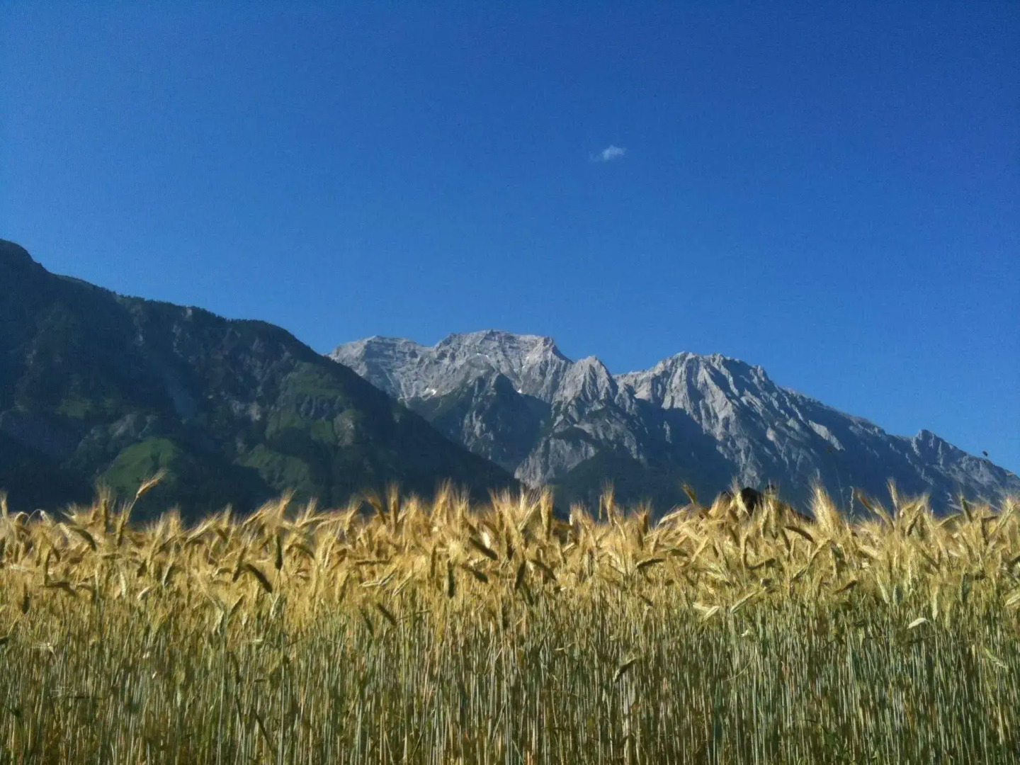 Austria Classic Heiligkreuz