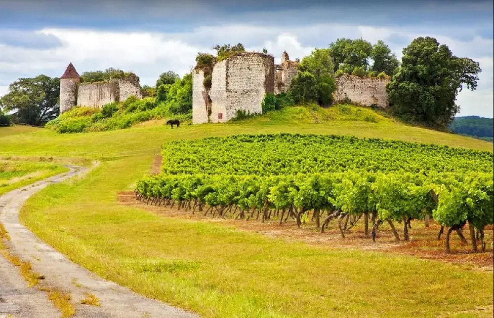 House With 3 Bedrooms in Vic-fezensac, With Wifi - 146 km From the Slo