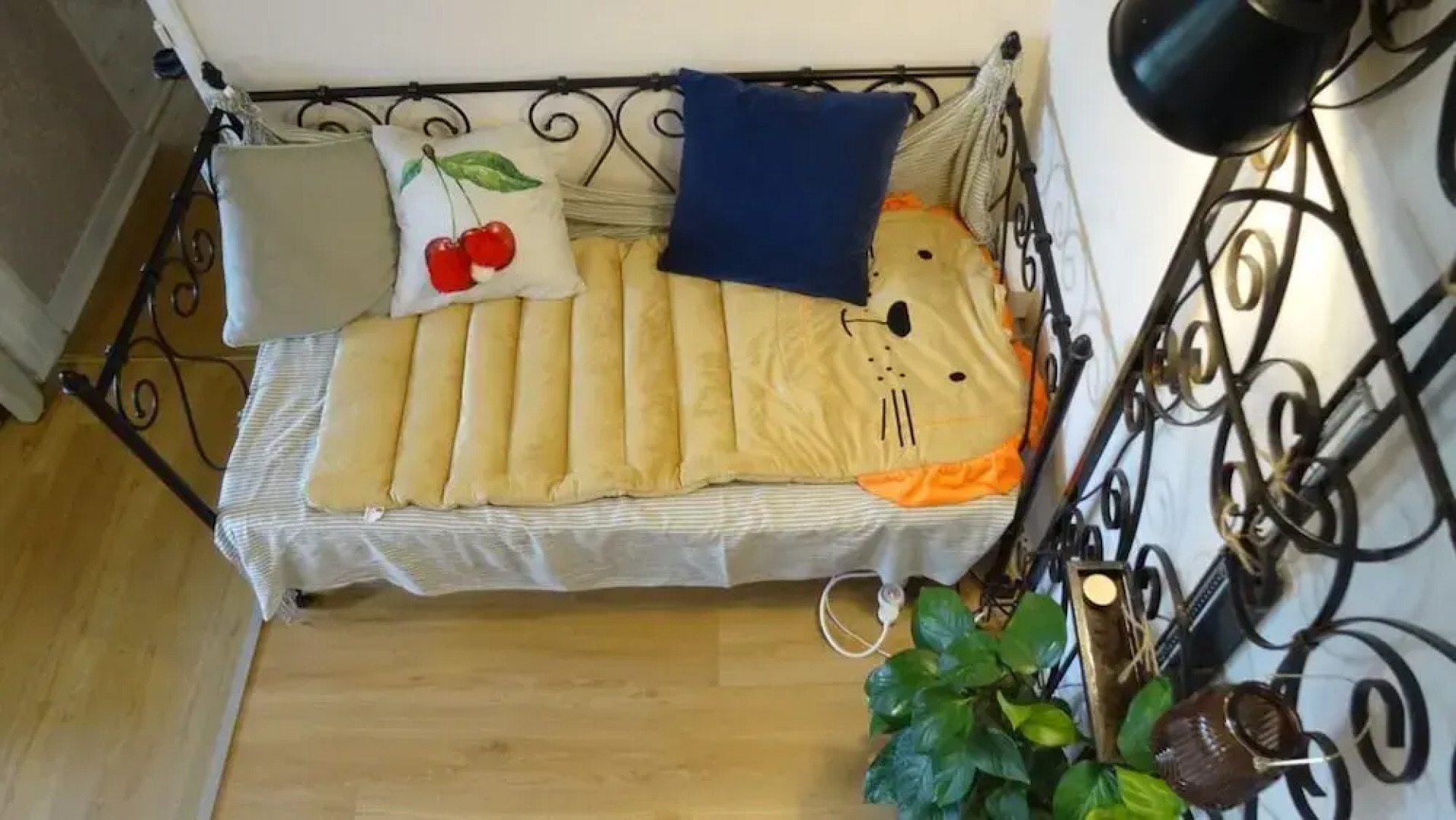 Grand Appart en rez de chaussée