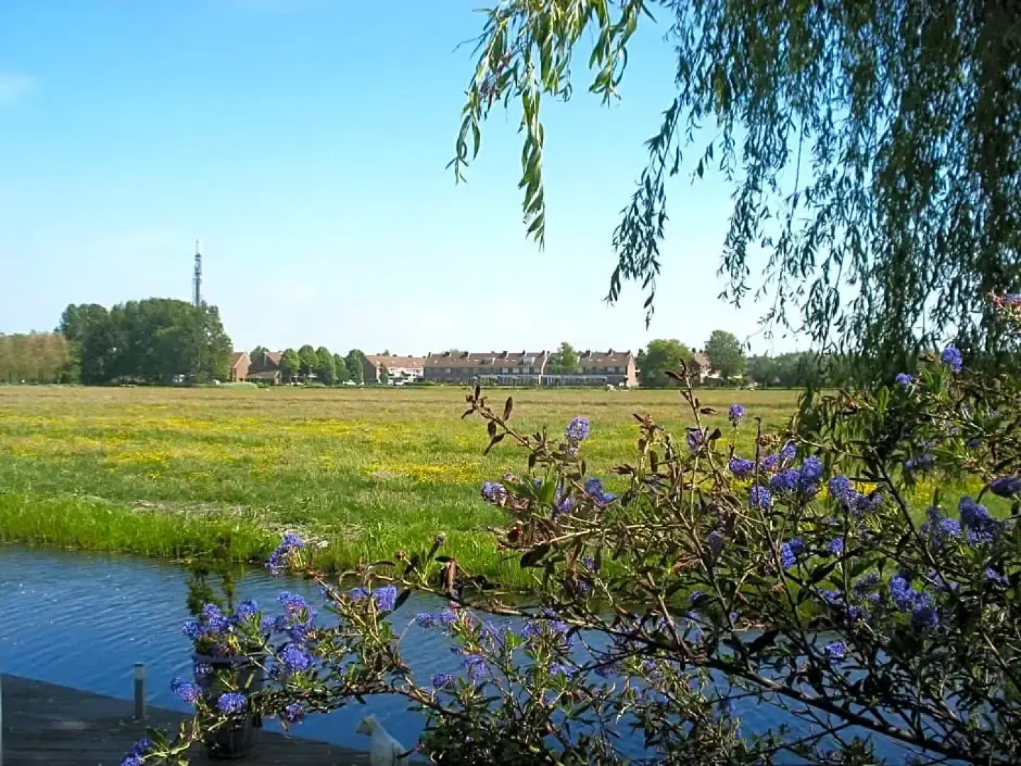 B&B-Edam