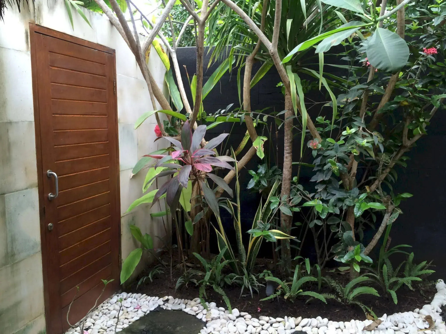 Scallywags Mango Motel