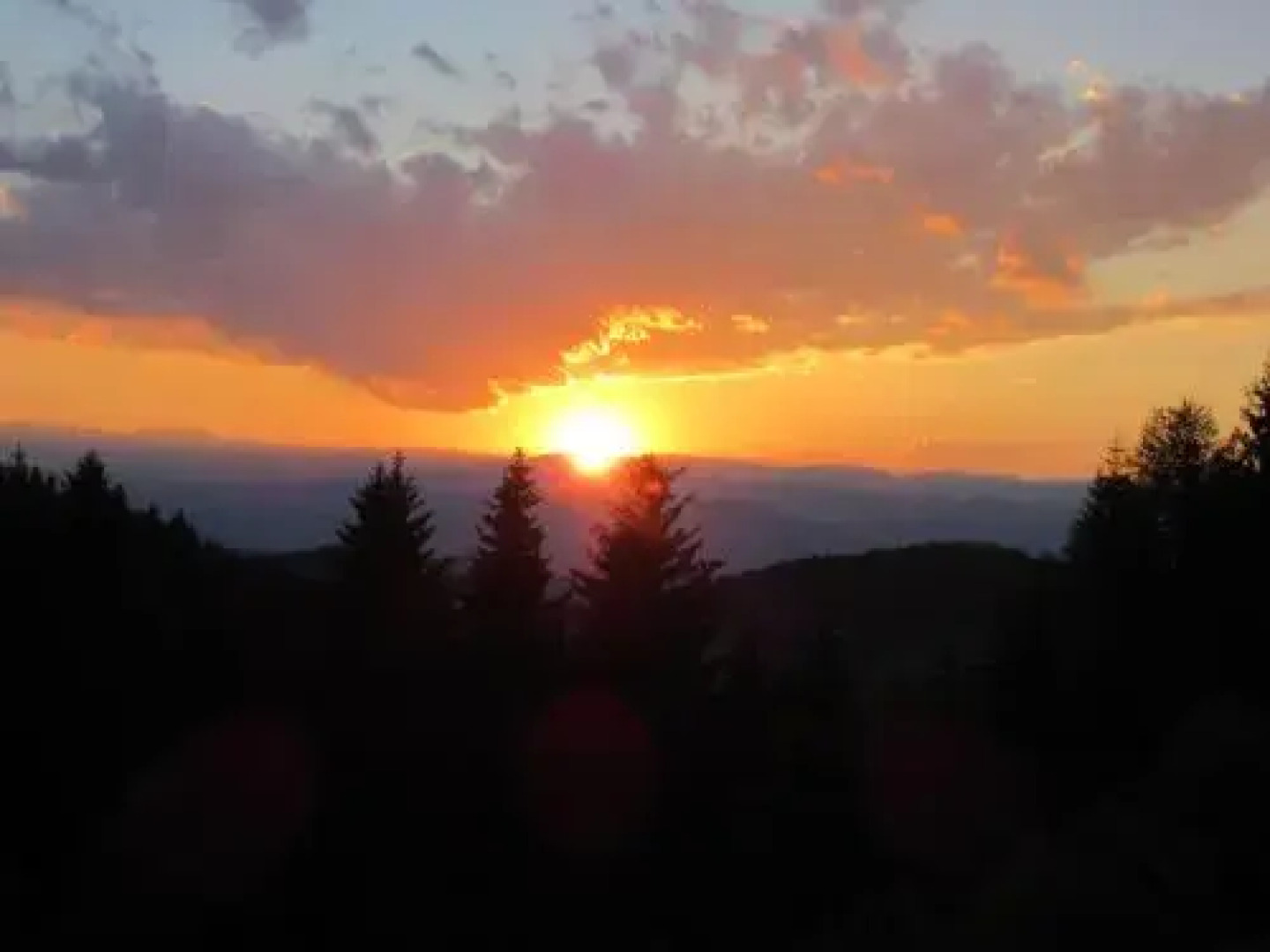 Familienbauernhof Gunzer-Sank