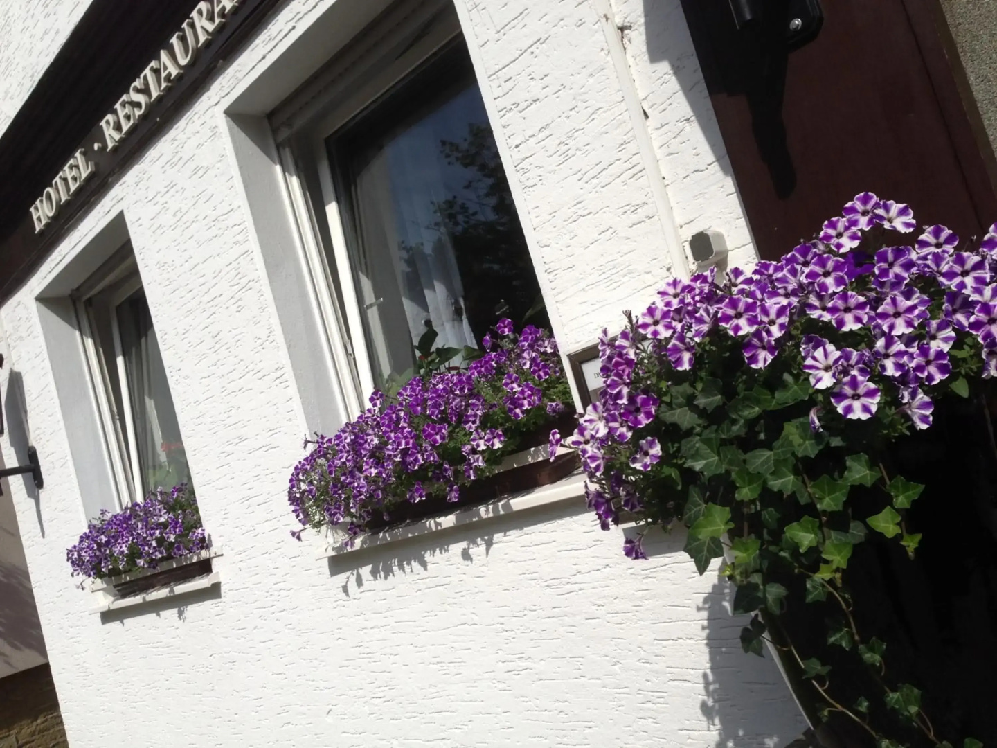 Hotel Domhof
