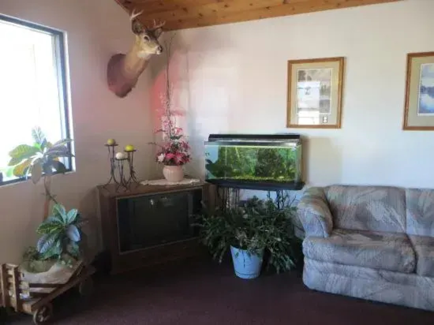 Countryside Motel