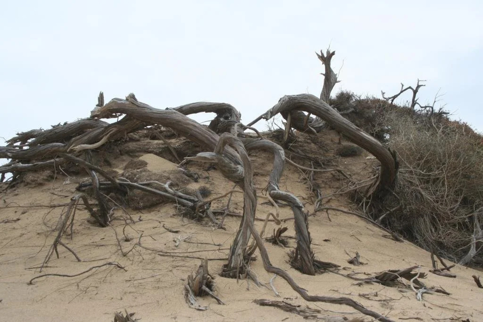 Agriturismo Costa Verde