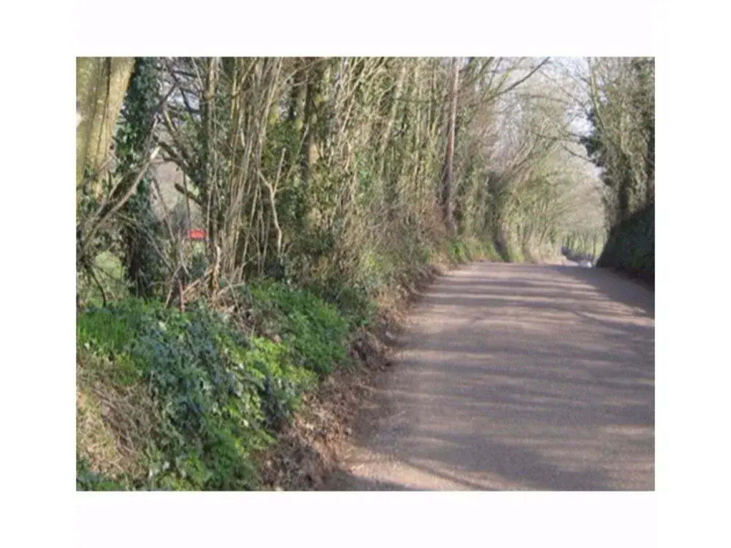 The Arlington House - B&B