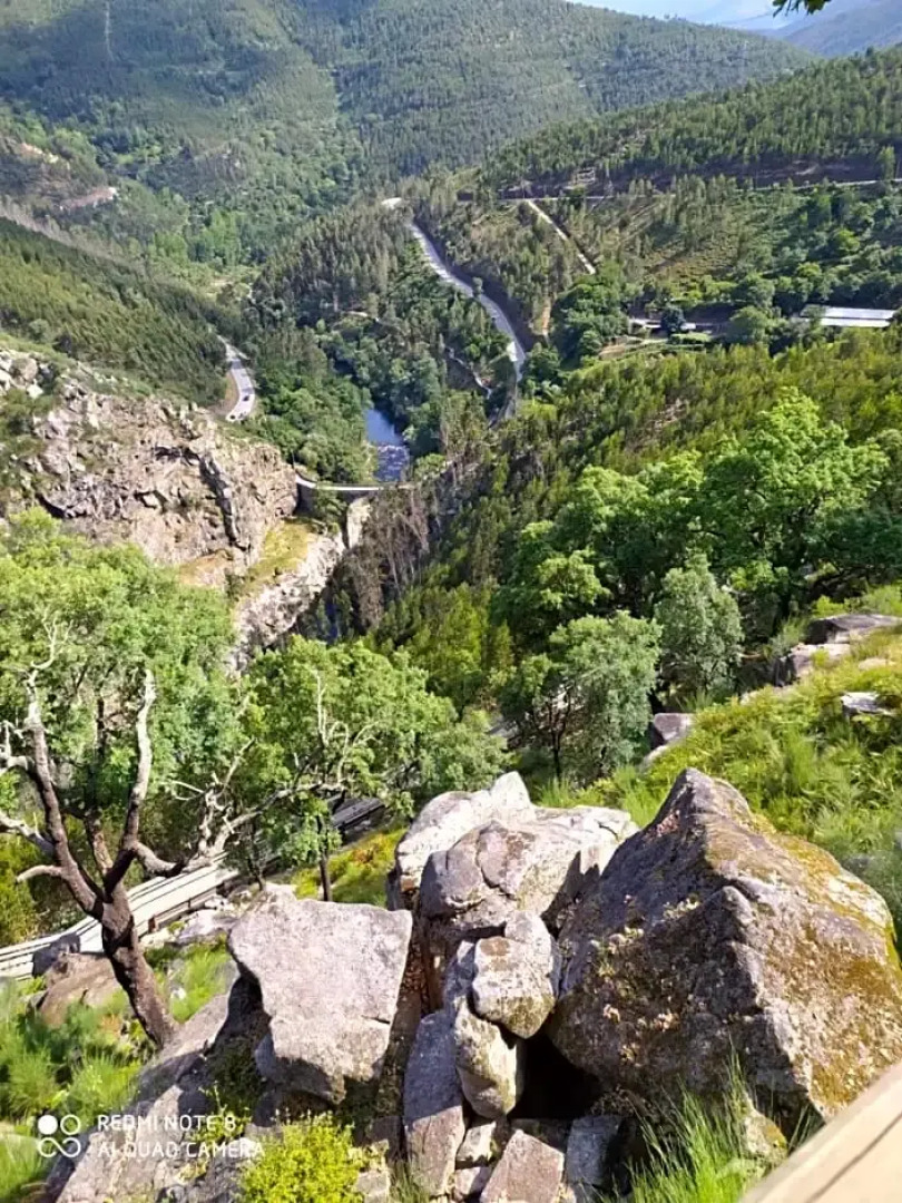 BellaVista Alojamento