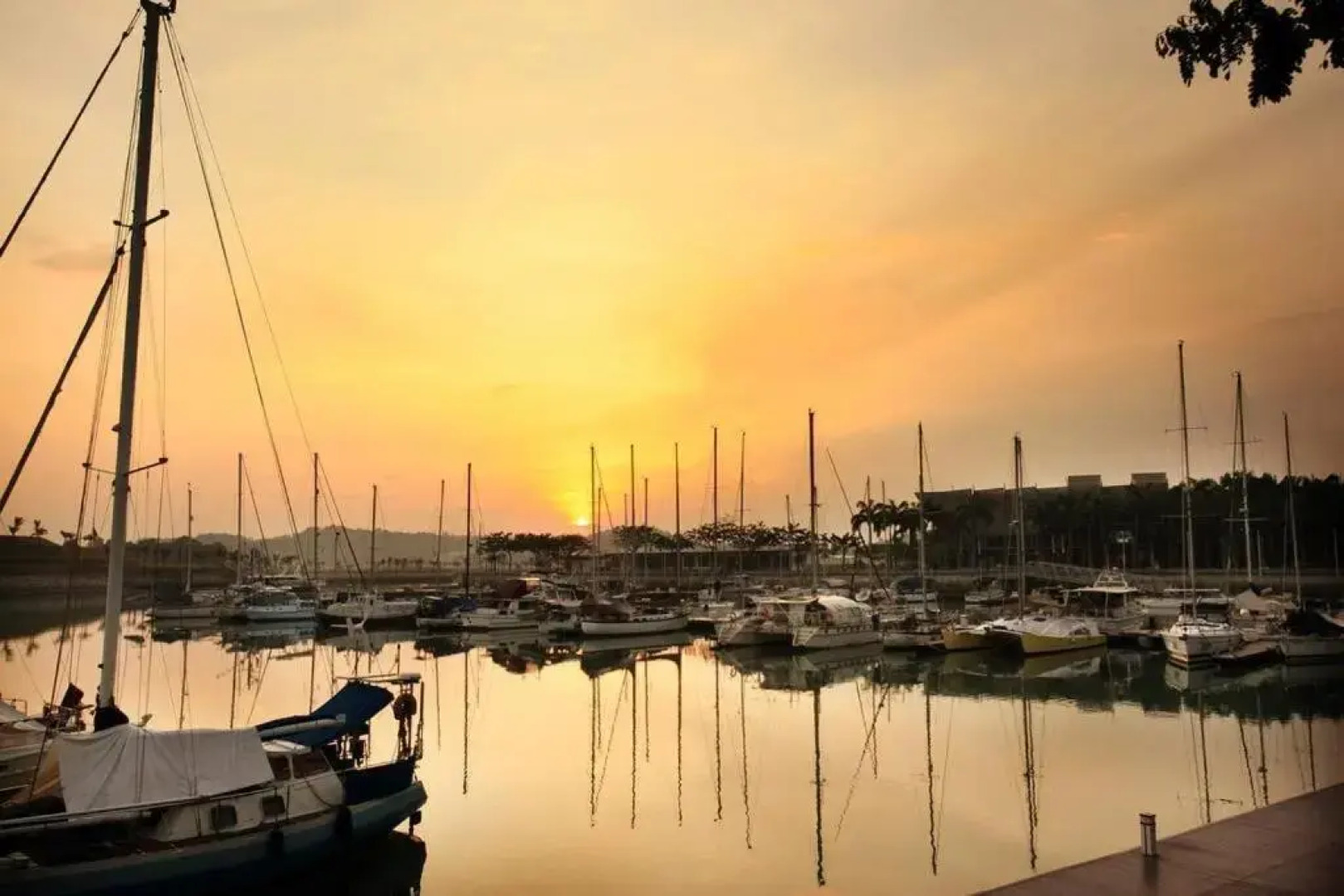 Forest in the Sky 3BR 8pax NETFLIX!! High floor By STAY