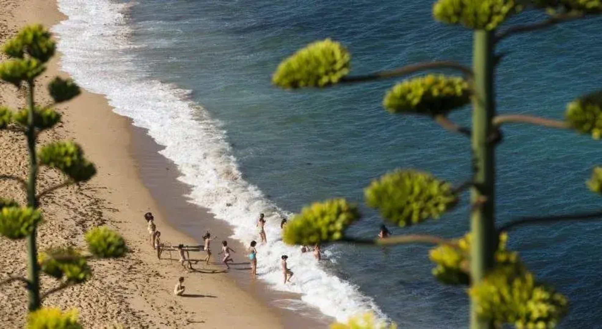 Laneez Ericeira
