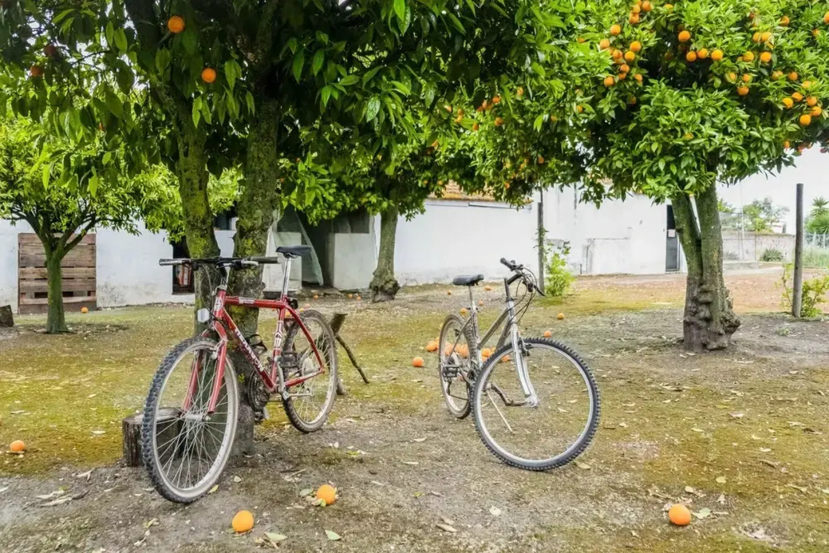 Eighteen21 Houses - Casa dos Condes