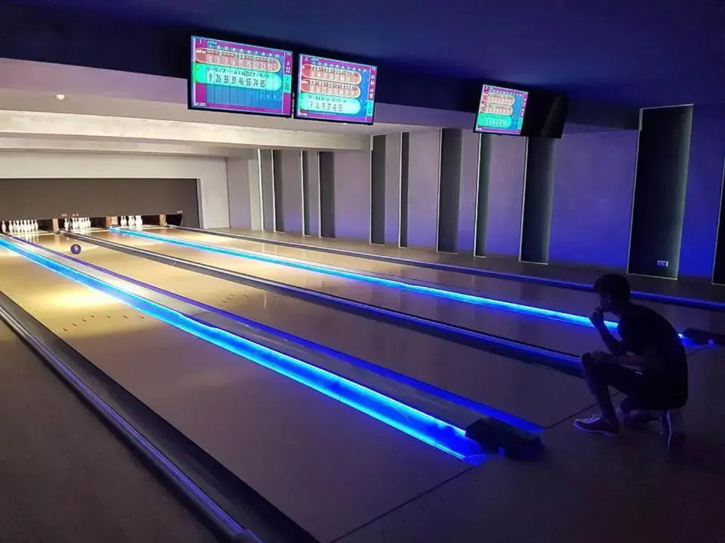 Luxury Oasis Apartment