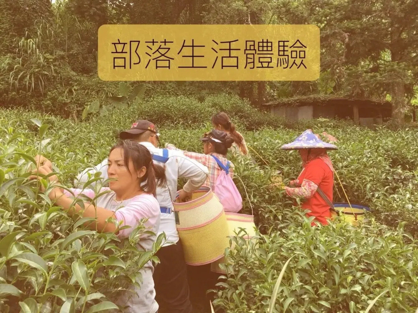 Alishan Hamoana Starry Tent