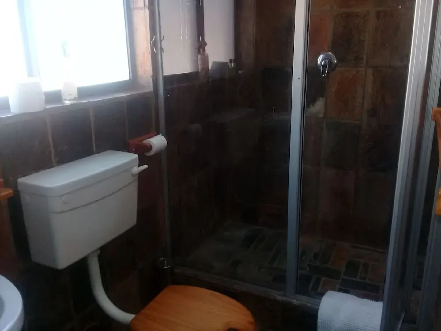 LIONSROCK Big Cat Sanctuary