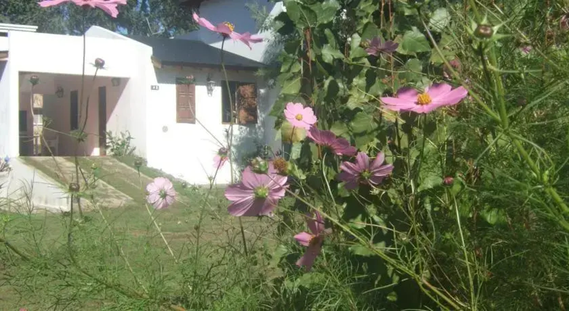 Cabañas Estancia Alpa Corral