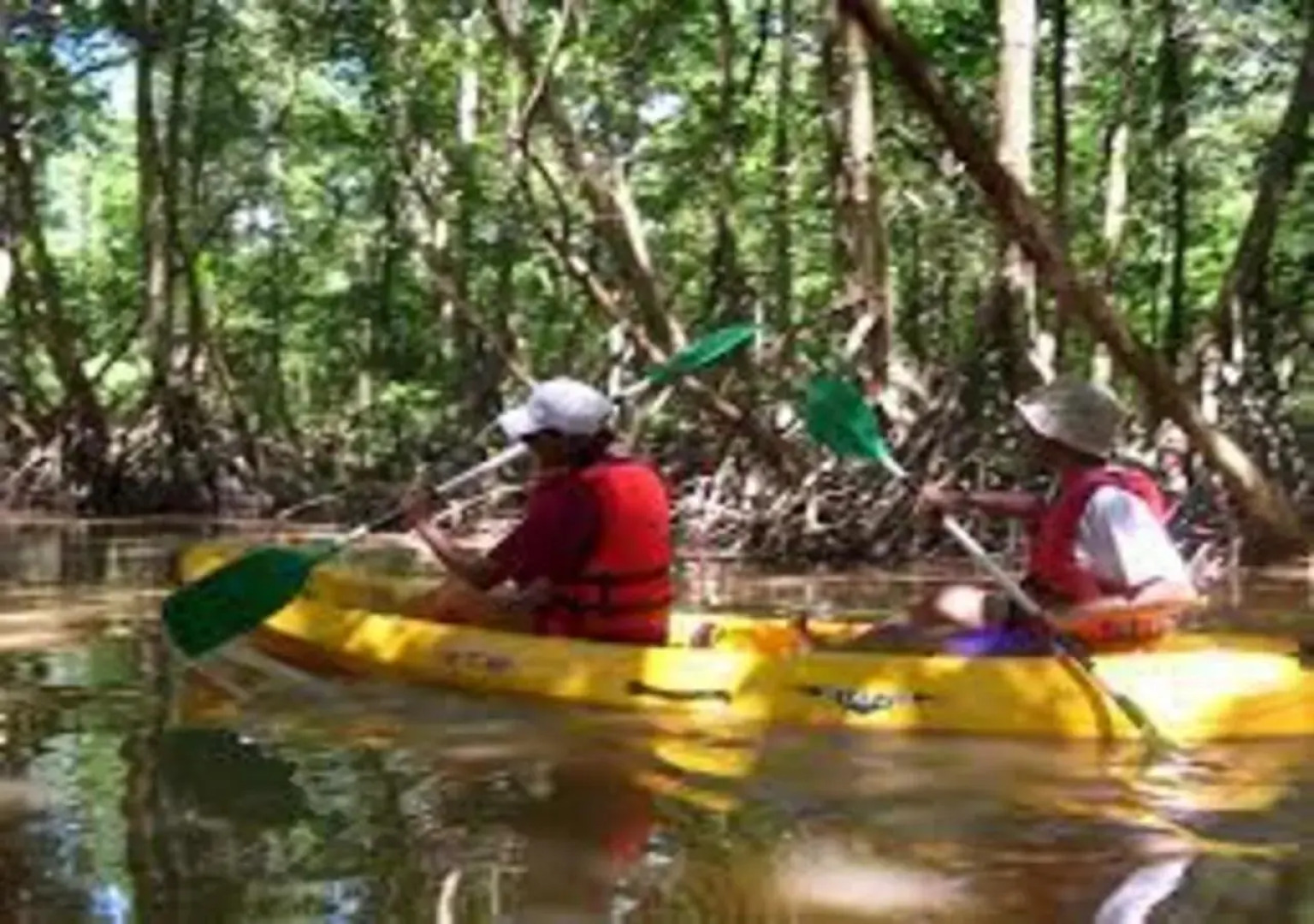 Super Studio en résidence face à la plage