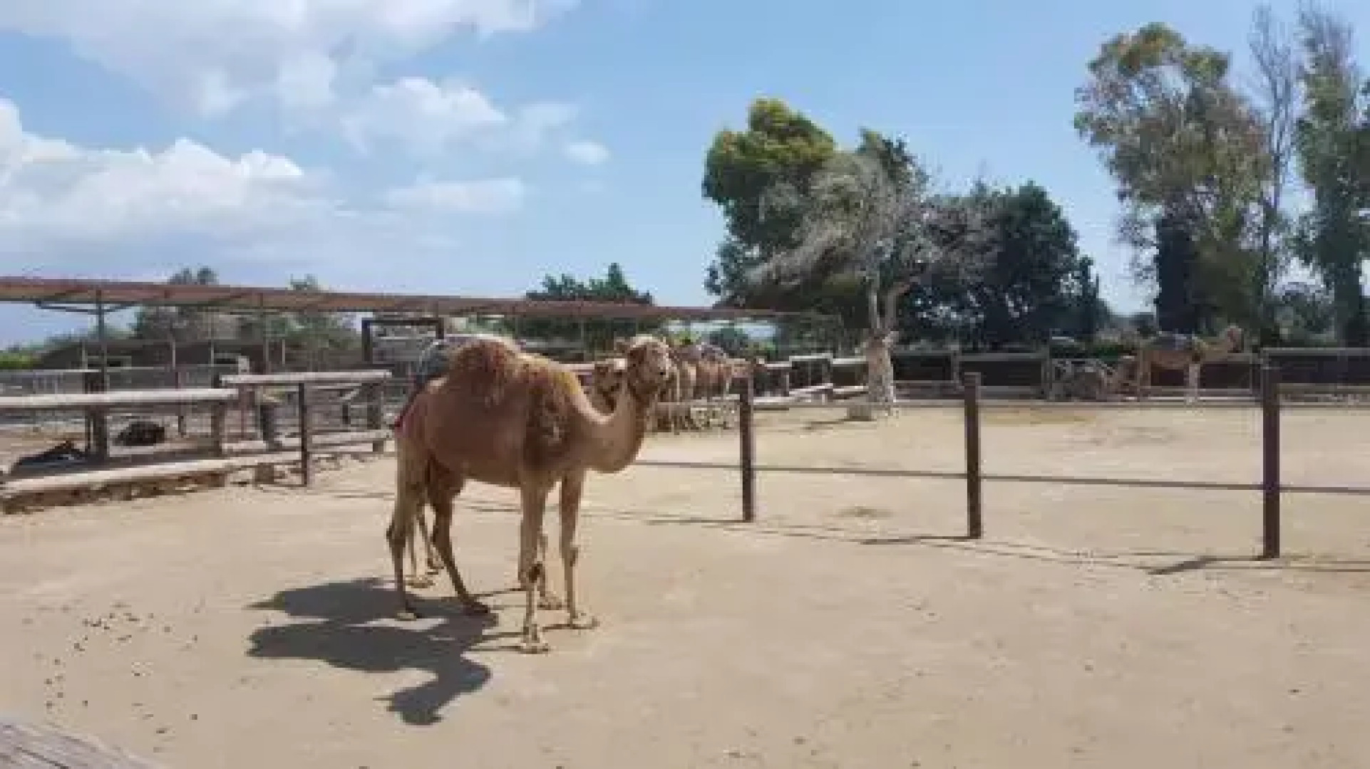 Periyiali Beach Sunset Suite A7