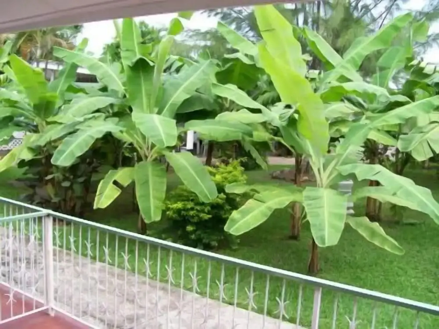 Golden Thistle Hotel