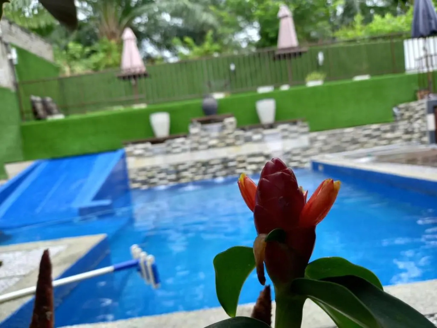 Homestay PD Villa 969 with Private Pool