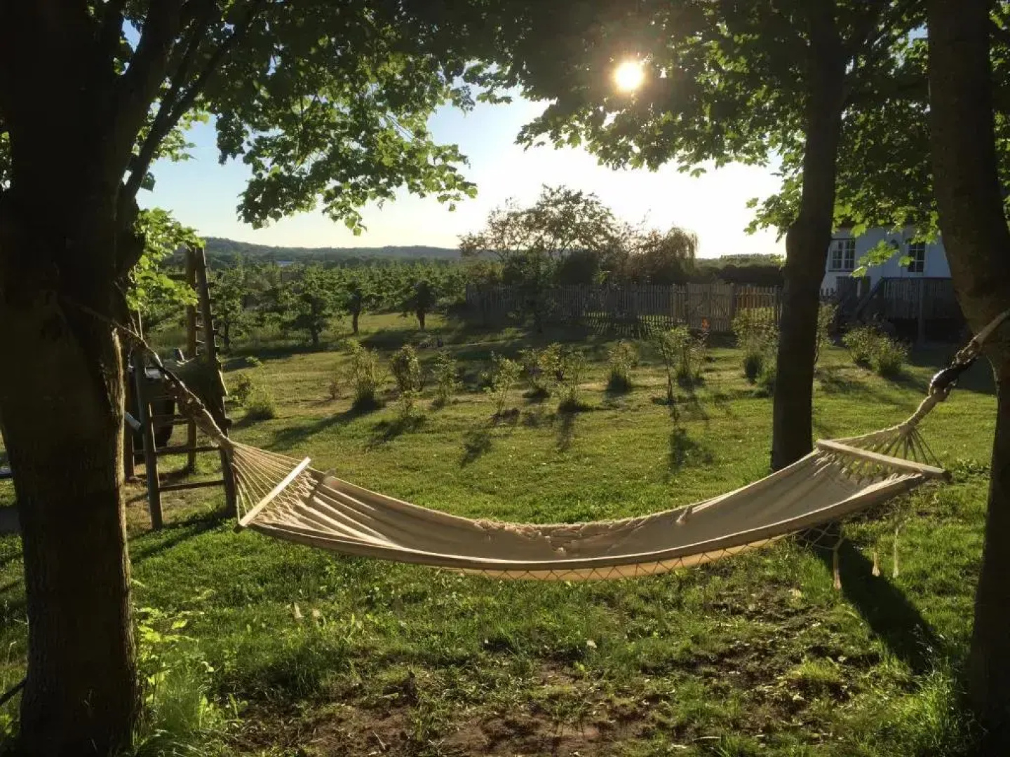 Kastanjegården på Stenshuvud
