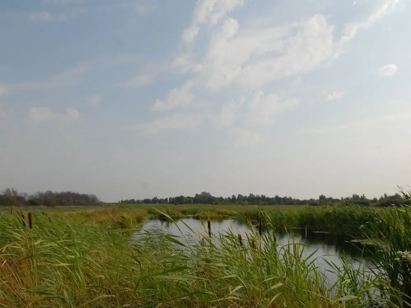 Detached Bungalow With Microwave and Wifi, Within Nature