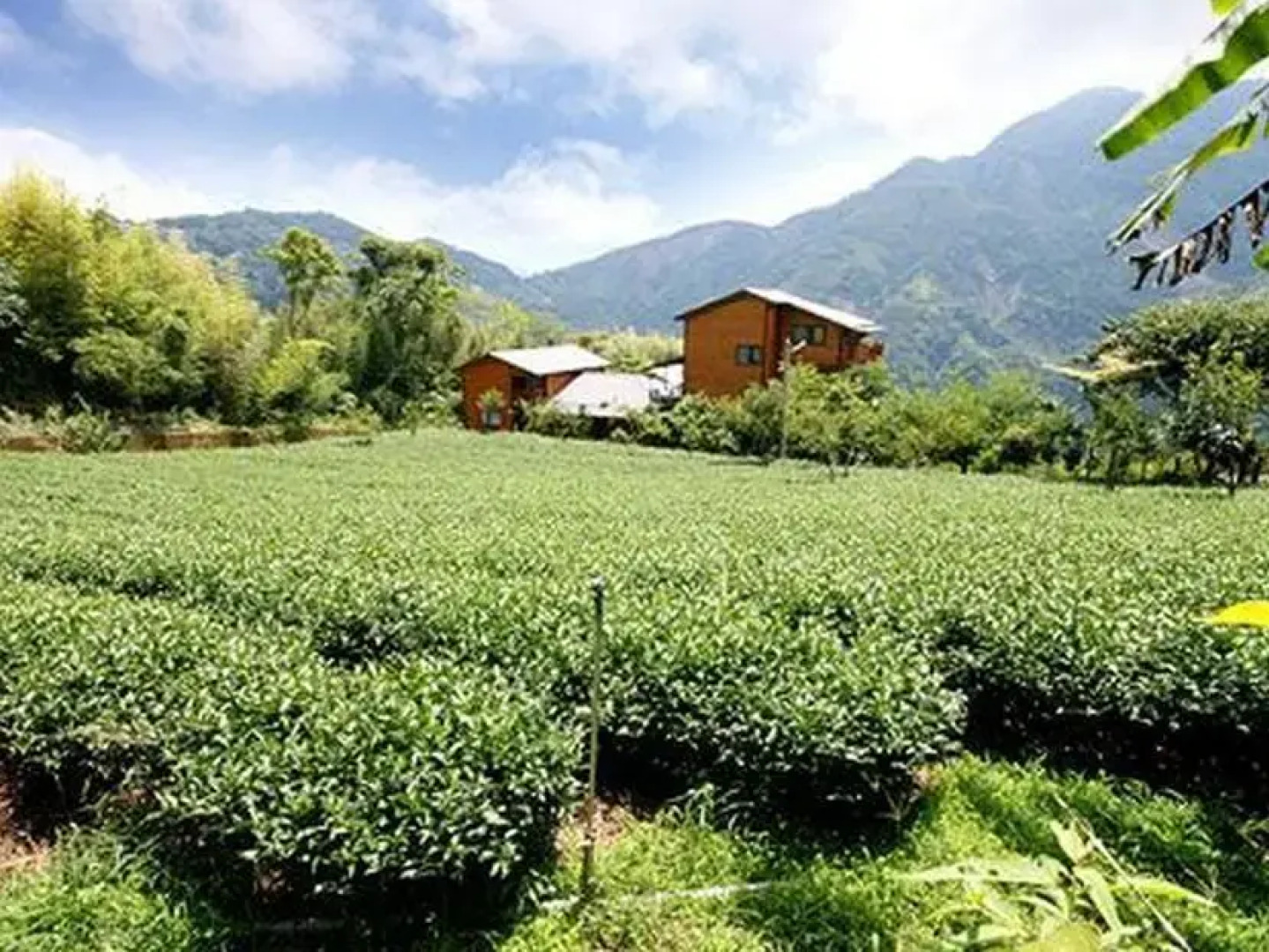 Walk Cloud Bed and Breakfast