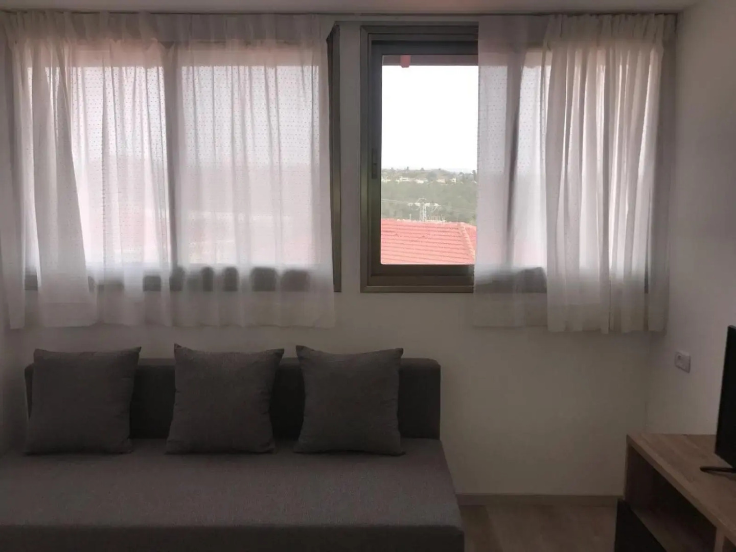 בין יער לים