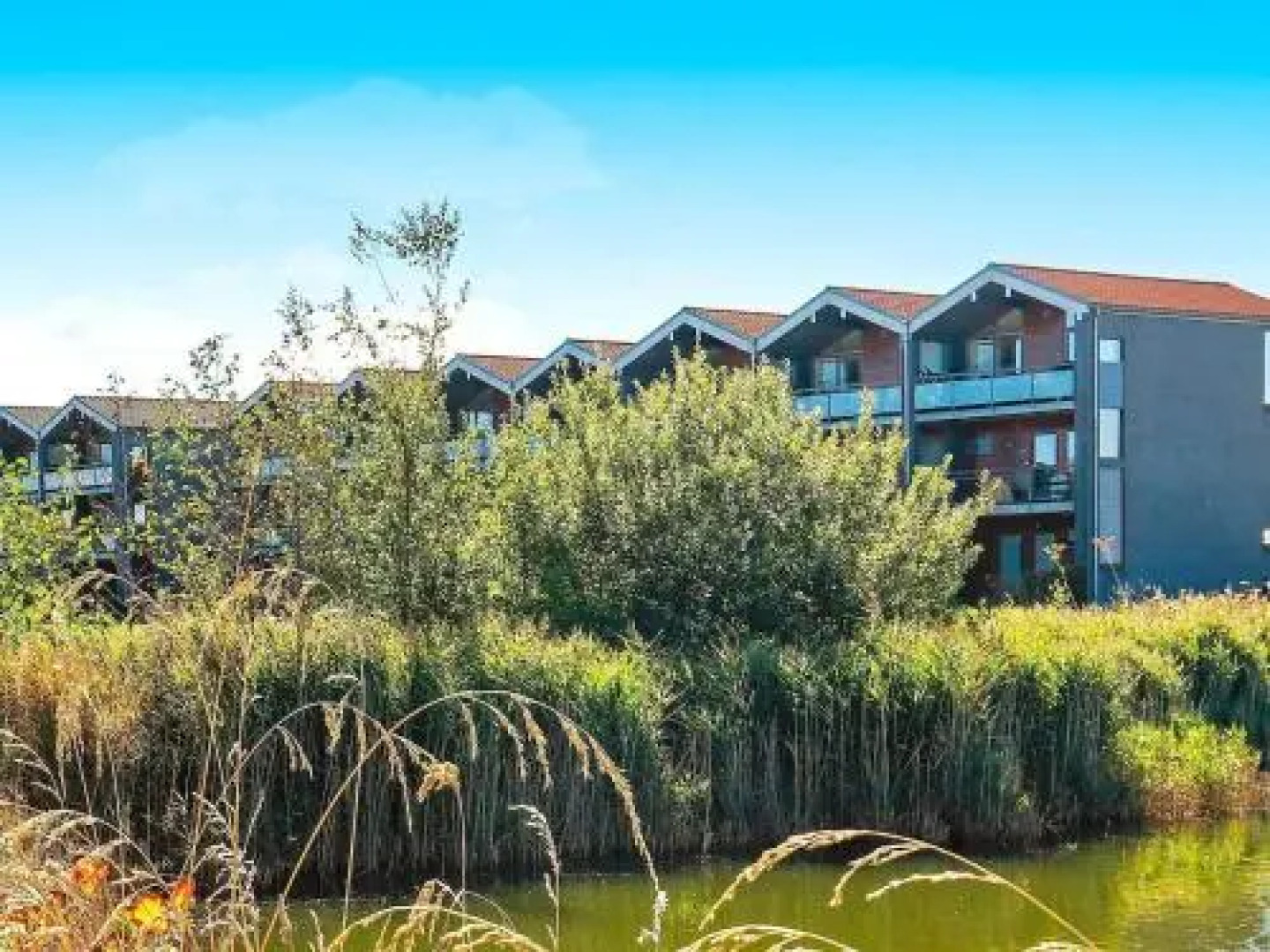 Apartment Bogense Iv