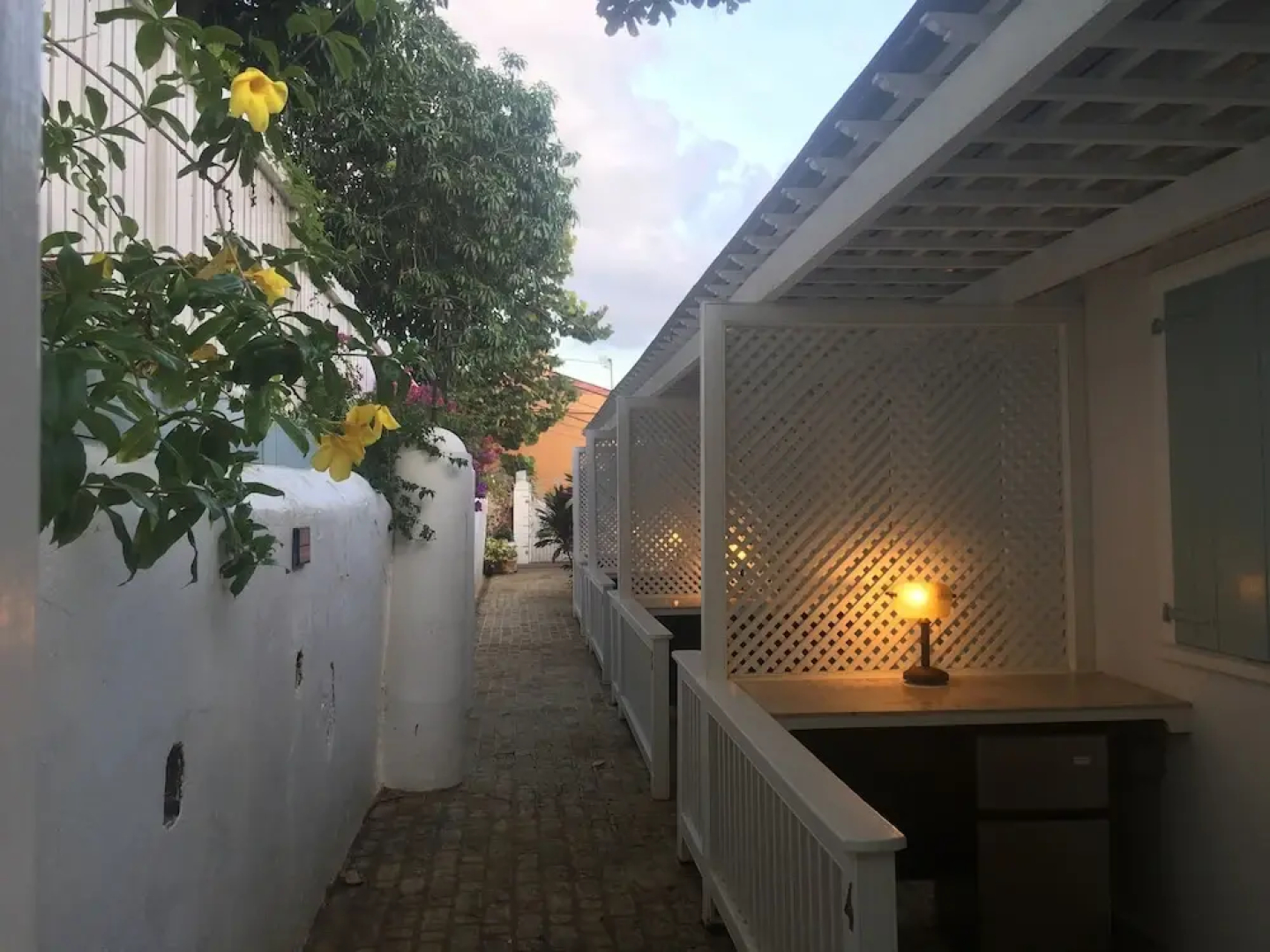 At Home in the Tropics