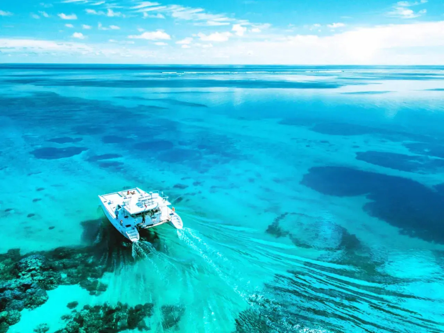 Alphonse Island Resort