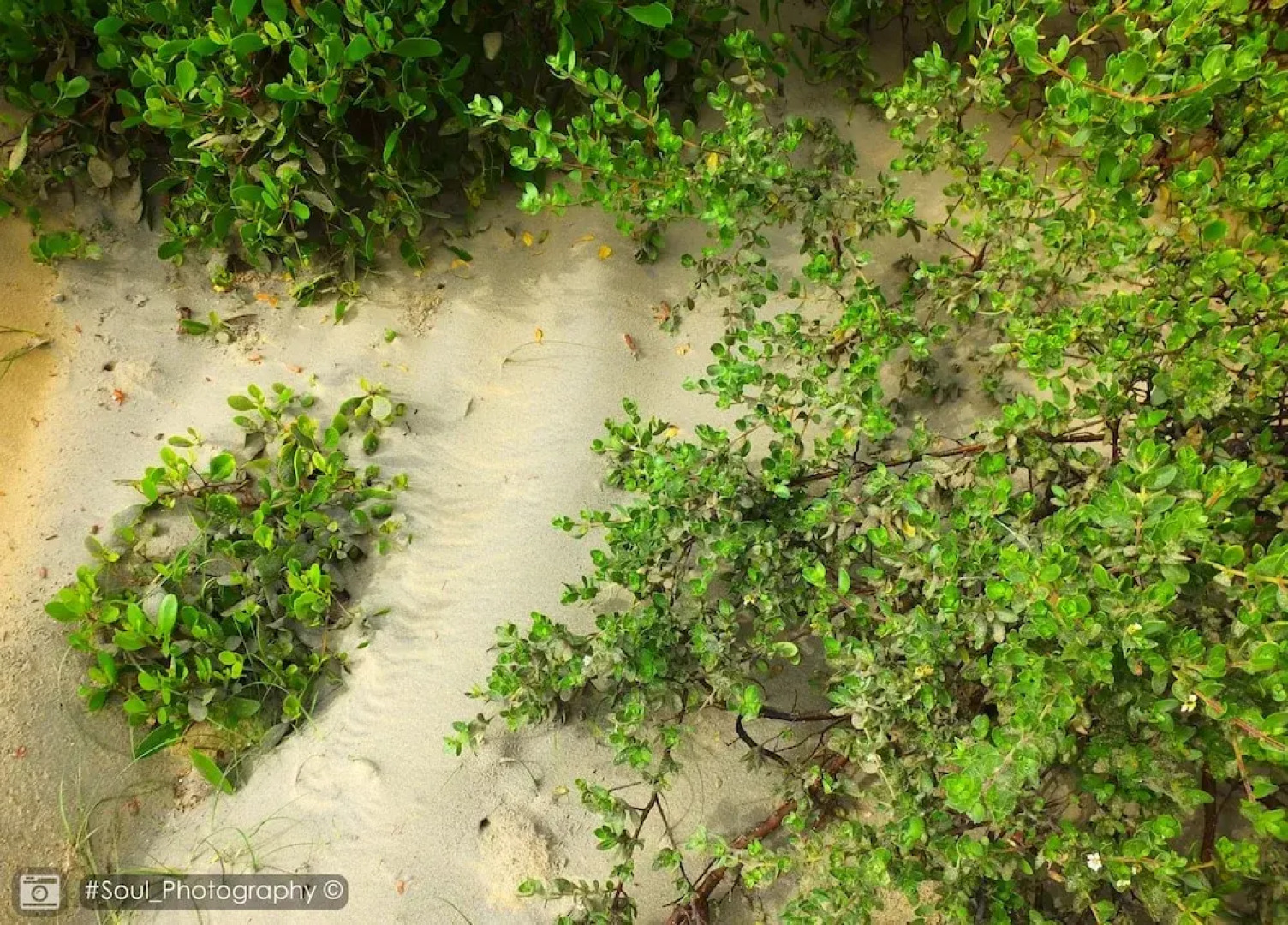 Sands Kalpitiya By GLN