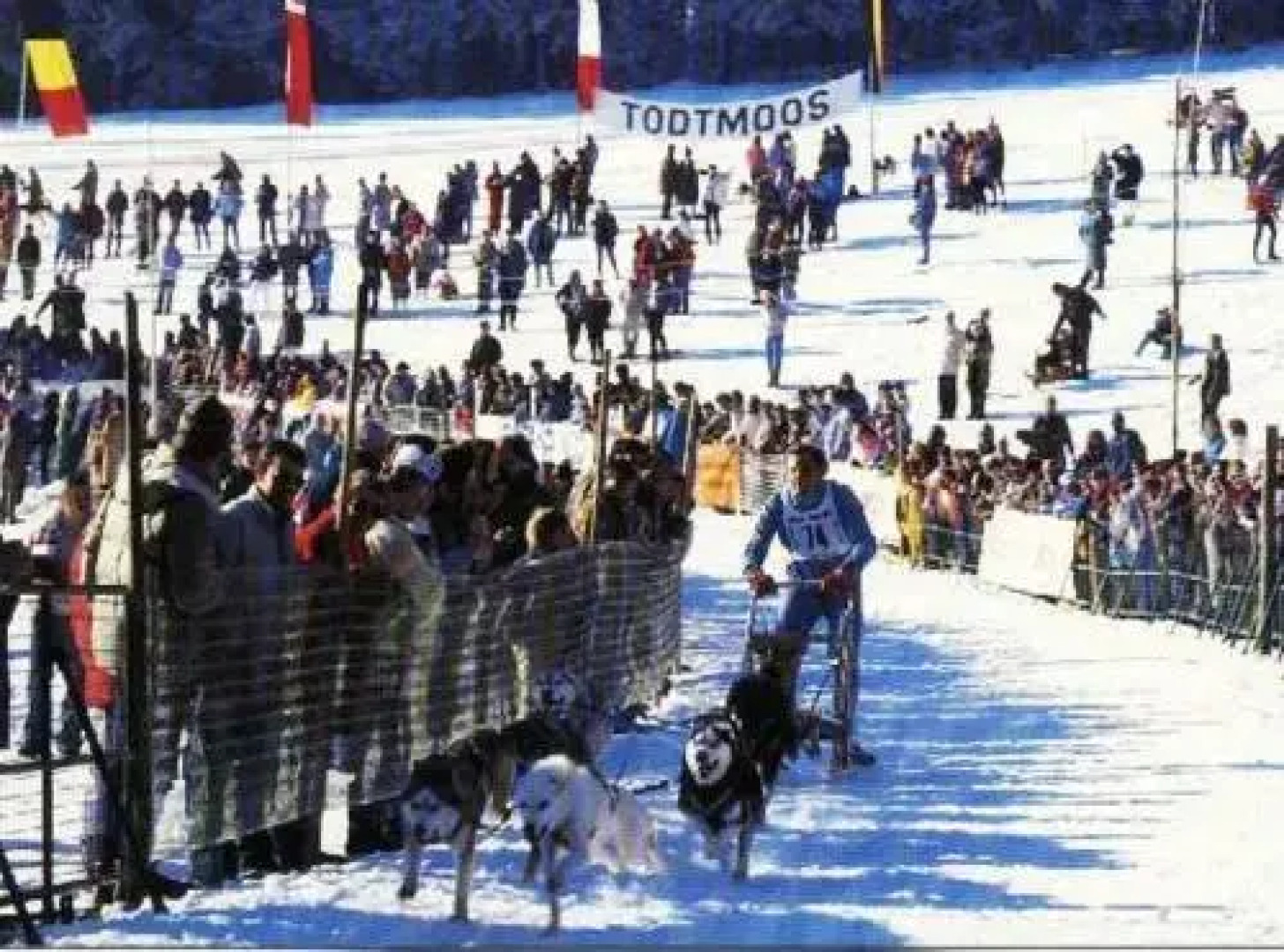 Hotel Maien & Schwarzwaldhaus