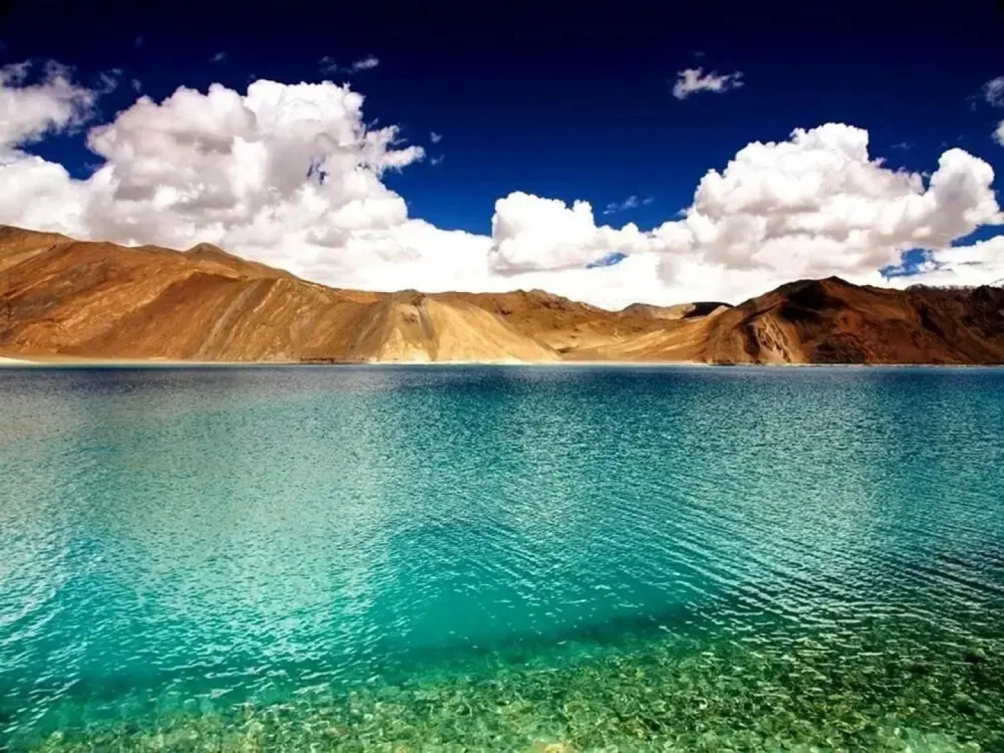 Pangong Lake View camp
