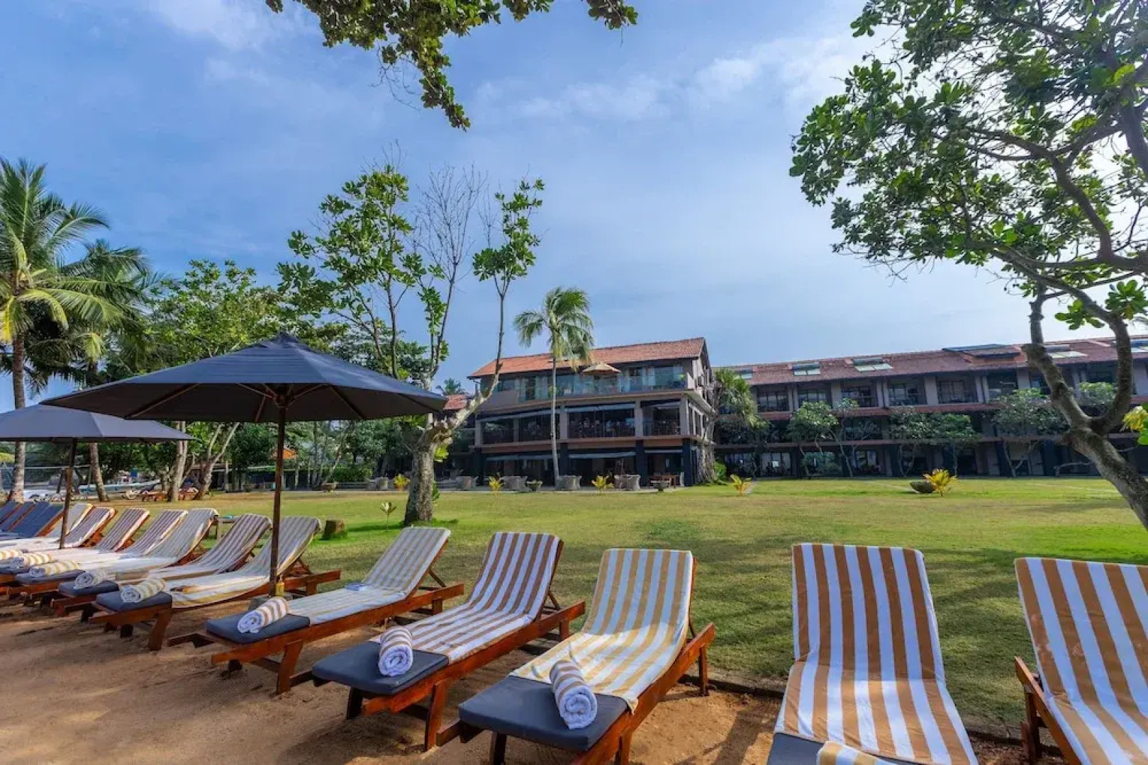 Taprospa  Footprints"