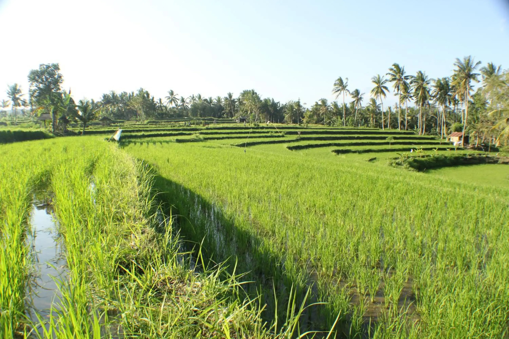 Telagamas Guest House