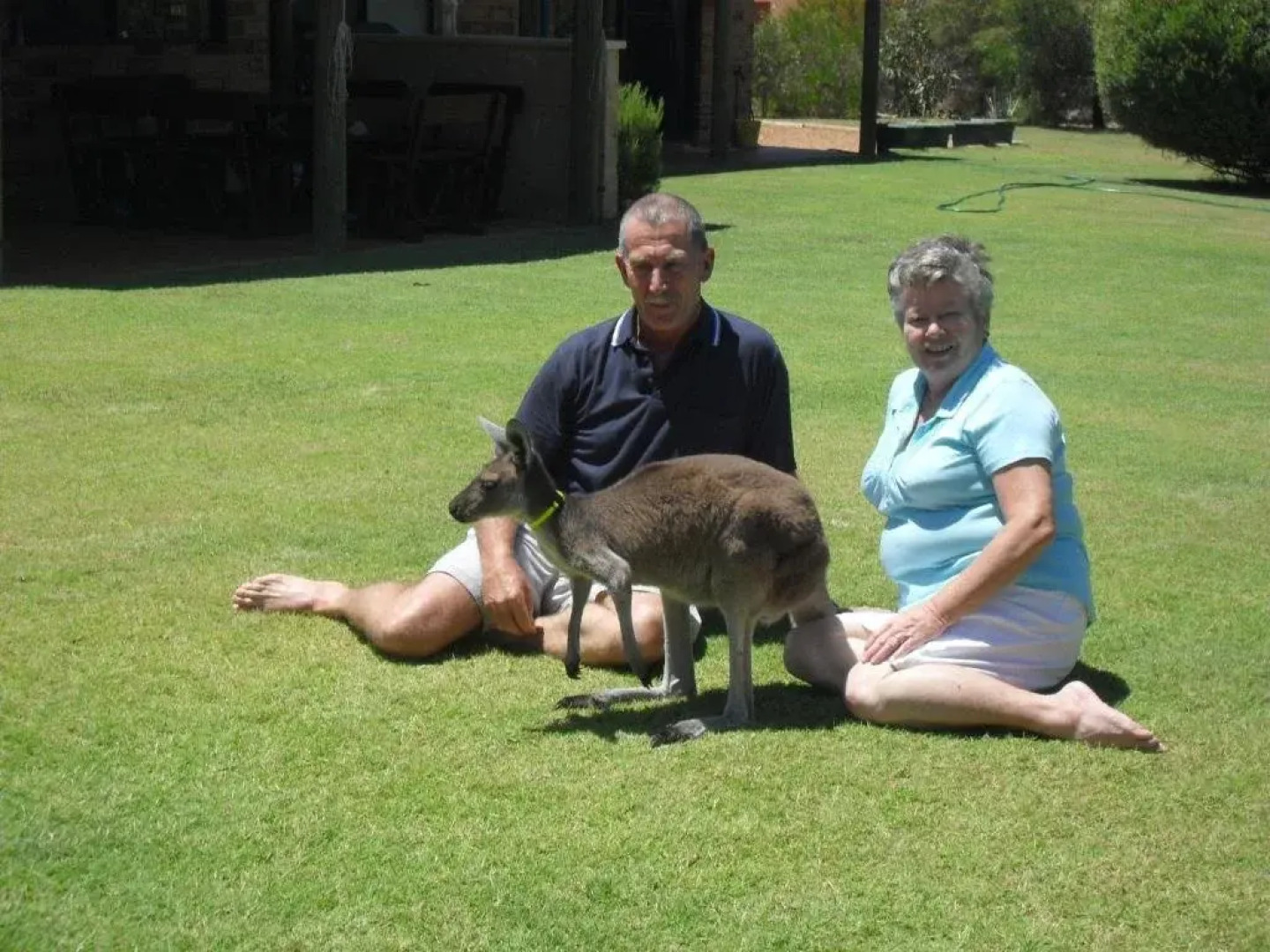 Woollybush Guest House