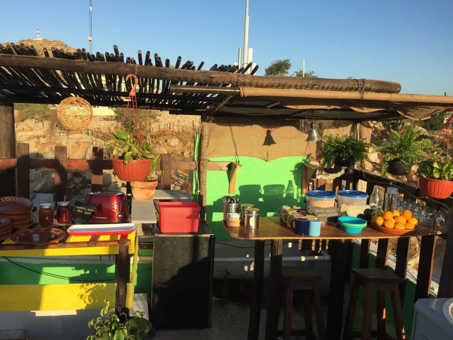 Baja's Cactus Hostel