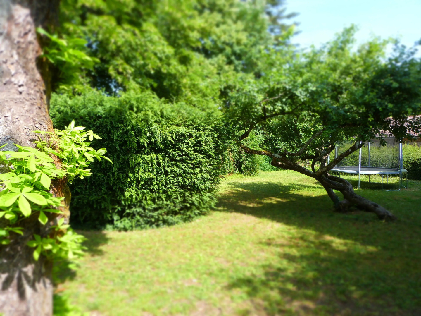 La Maison du Cremant