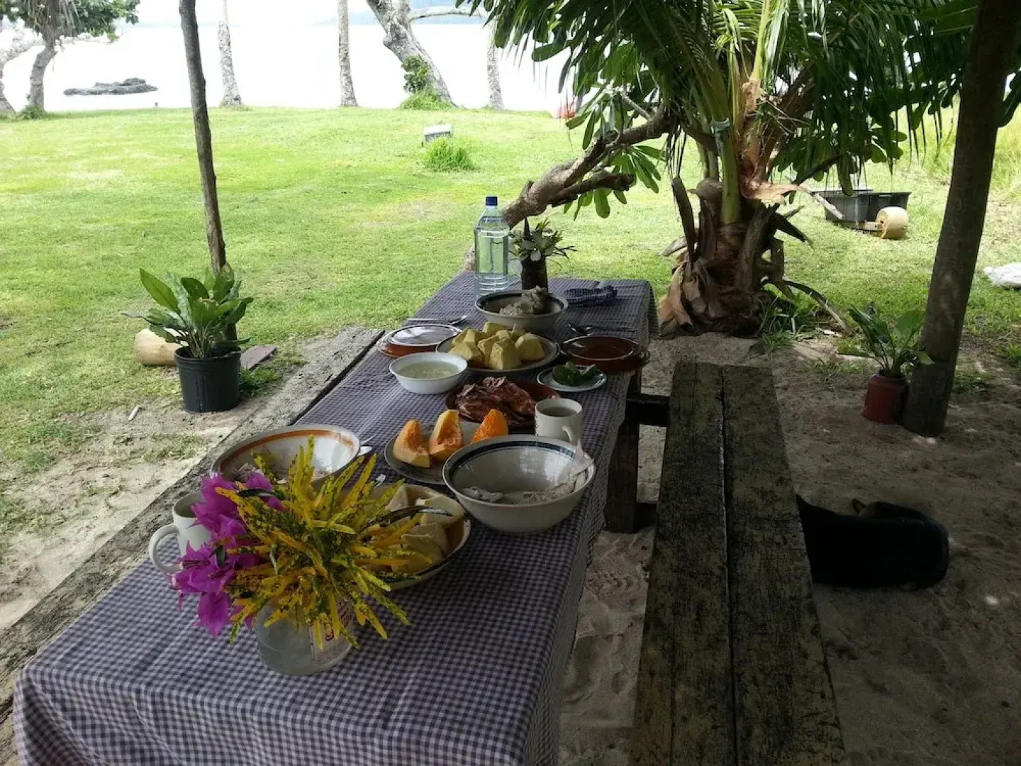 Yasawa Homestays