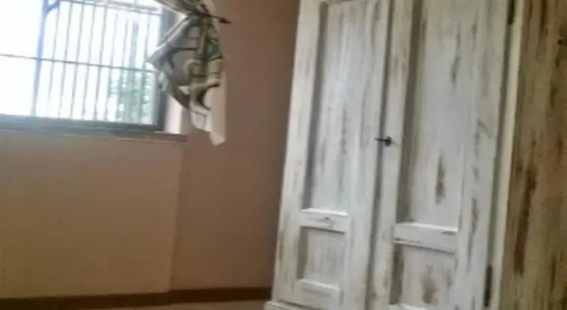 Rome Vacation Rental