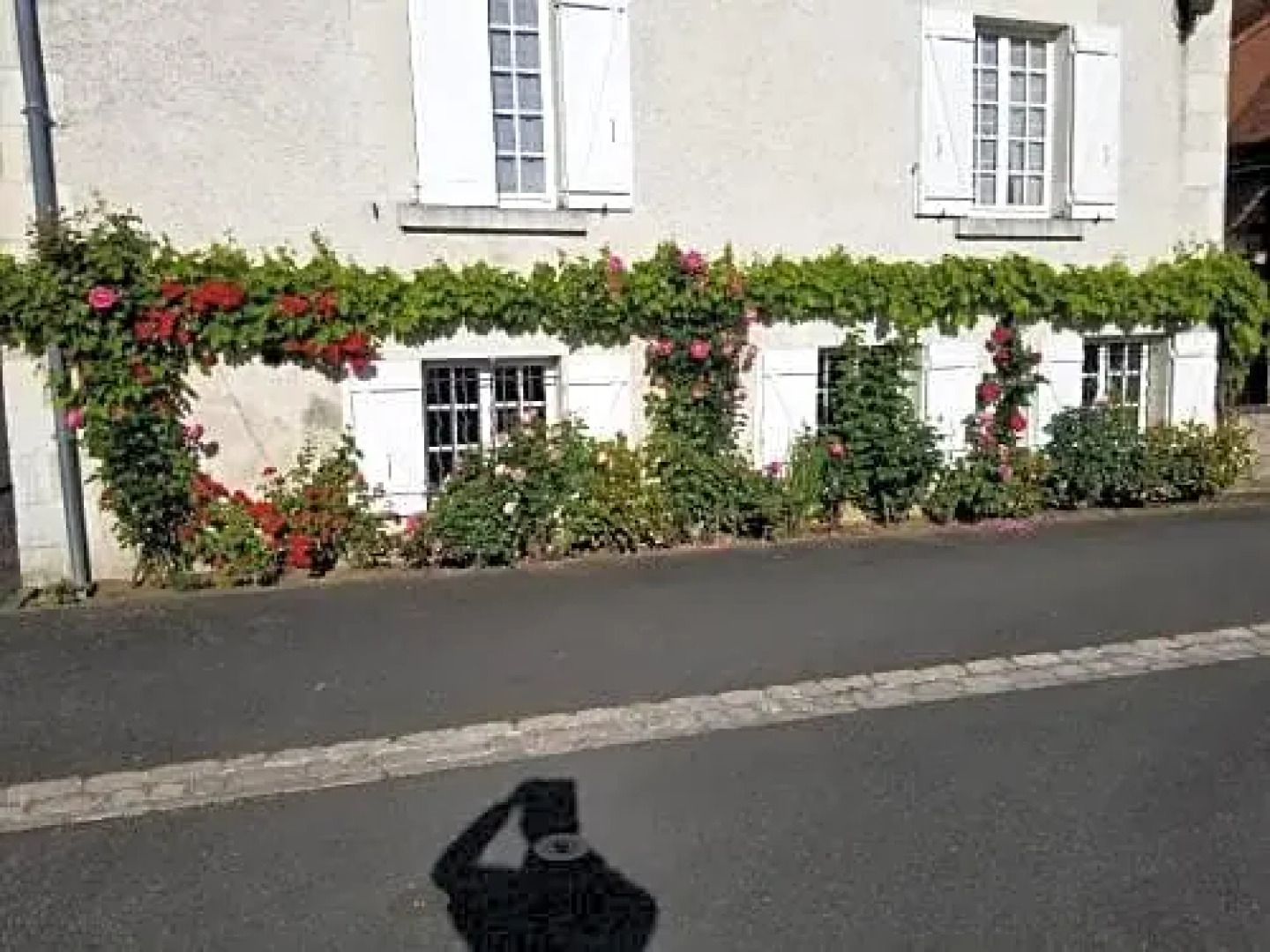 Chenonceau Amboise Équitation