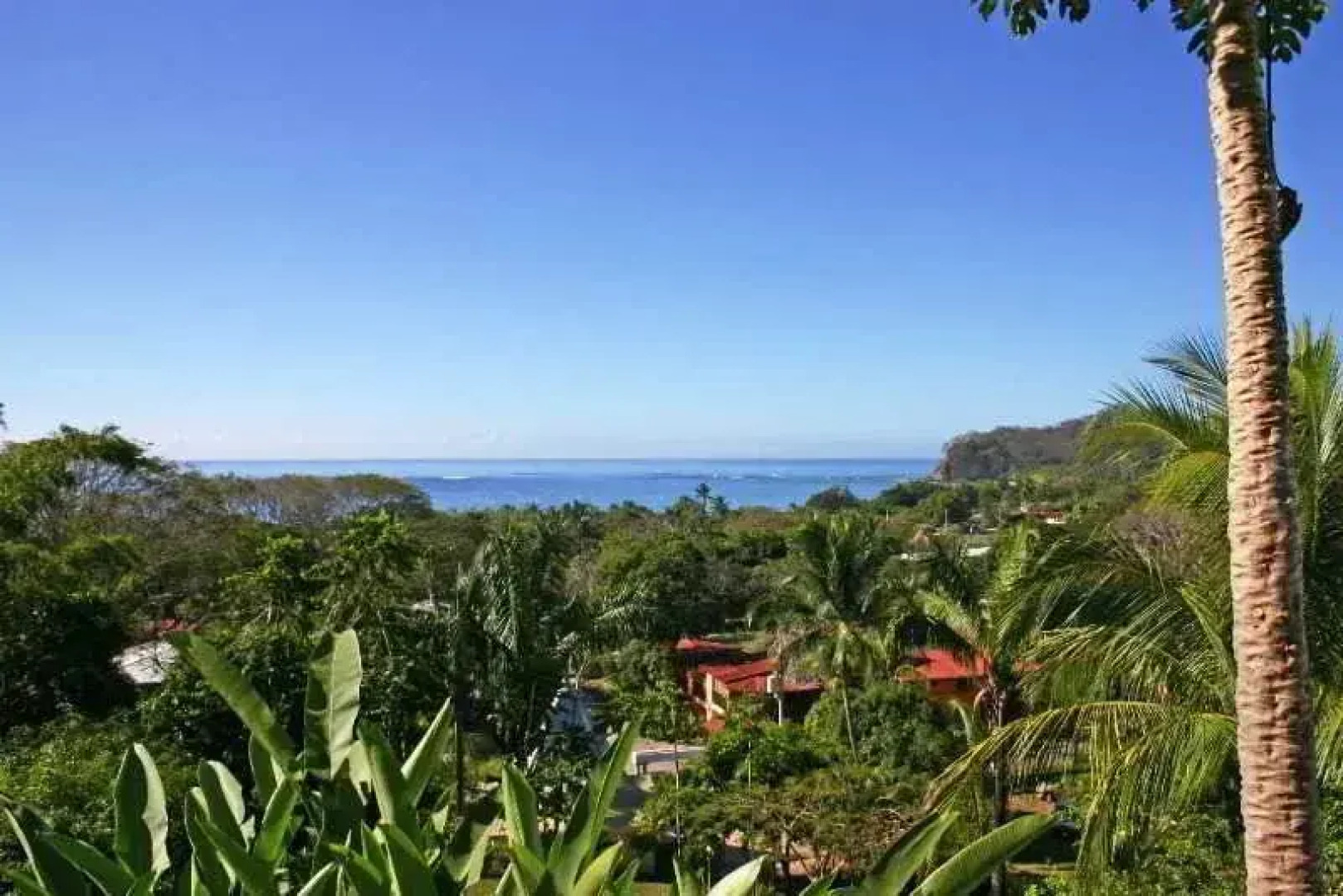 Condo Hotel Samara Heights