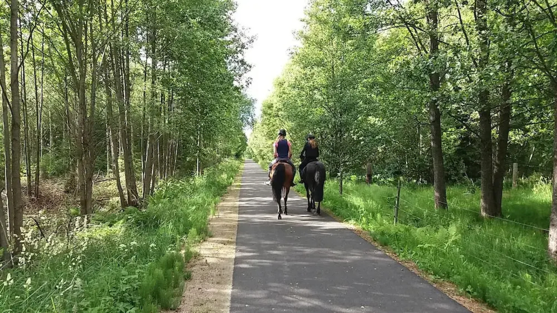 Semesterbyn Kåranäs