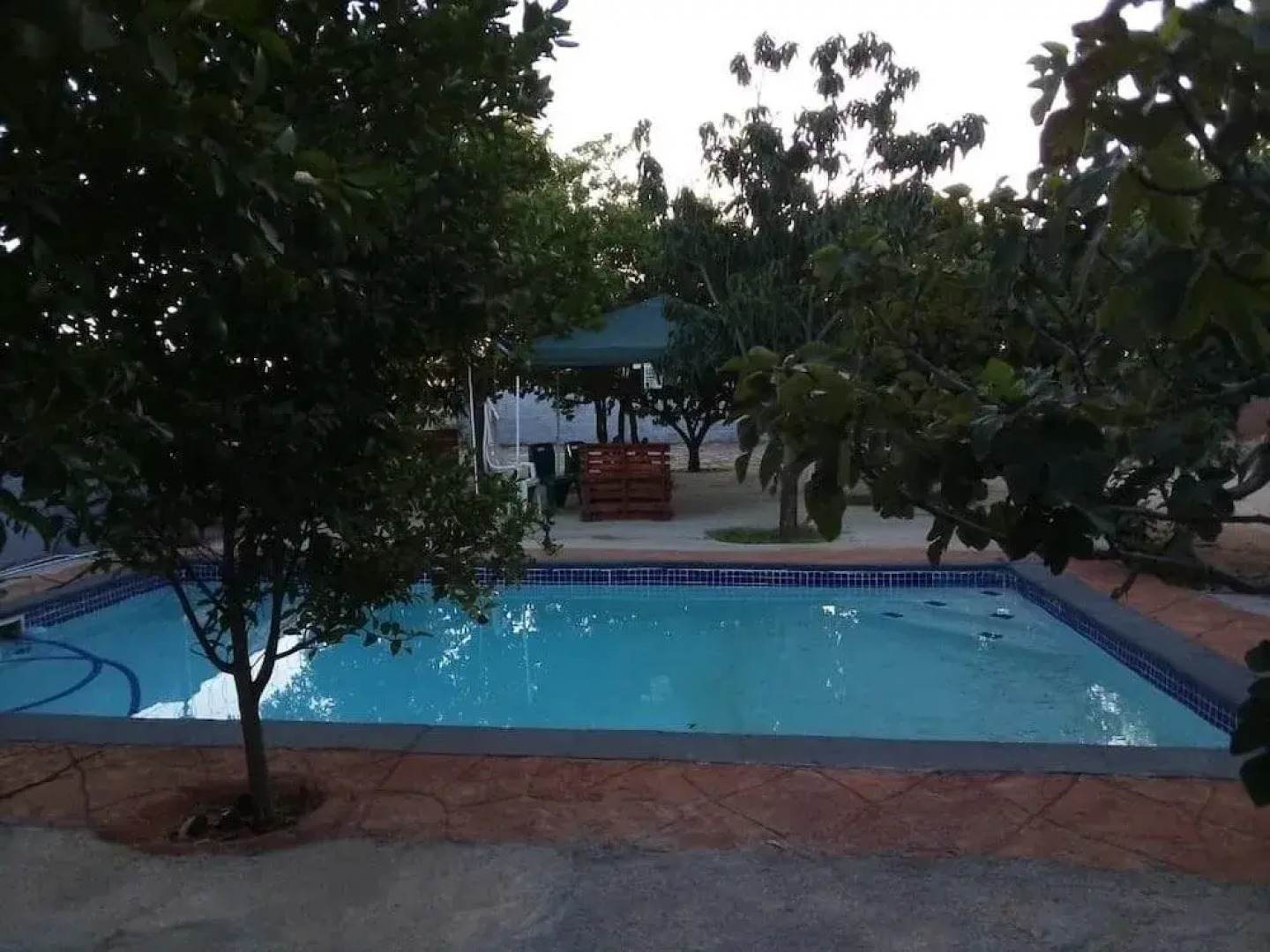 Belle Vue Bed and Breakfast