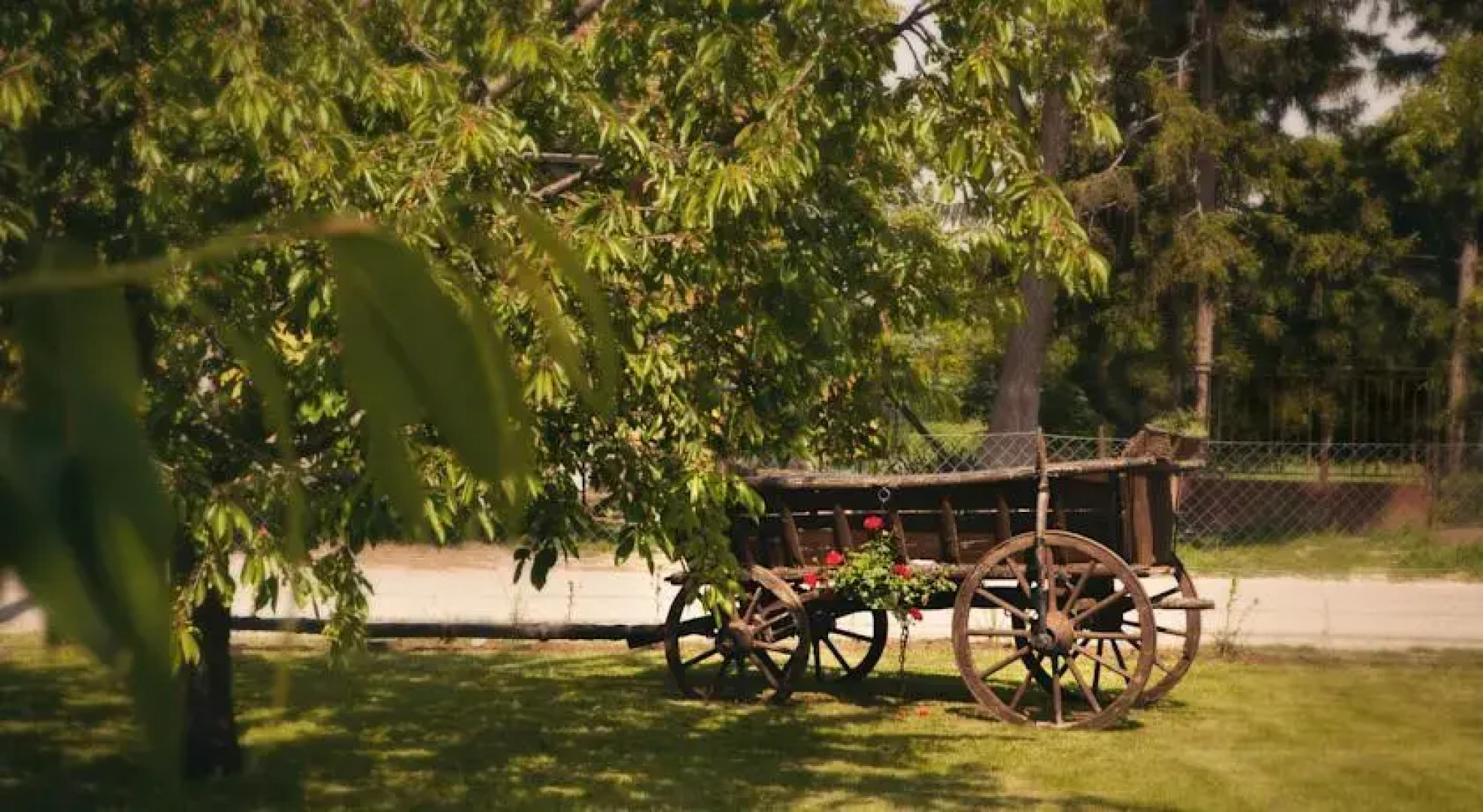 Tulipános Porta és Vendégház