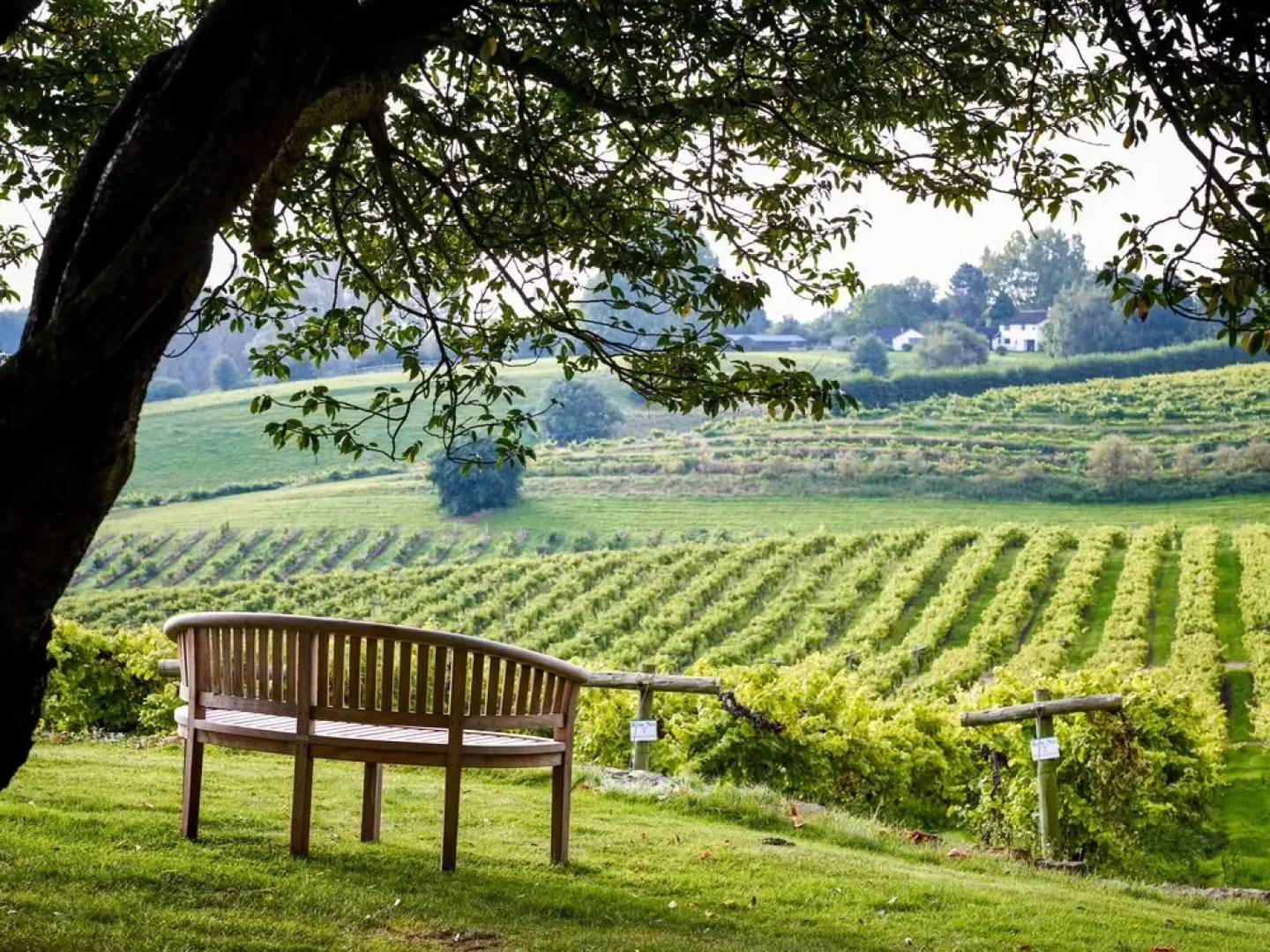 Three Choirs Vineyards