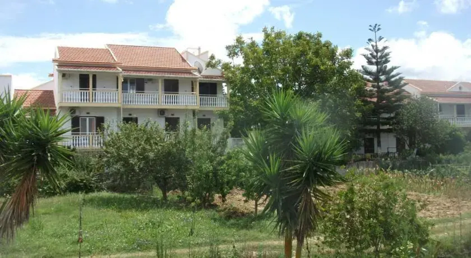 Alexandros Walnuttree Arillas Corfu