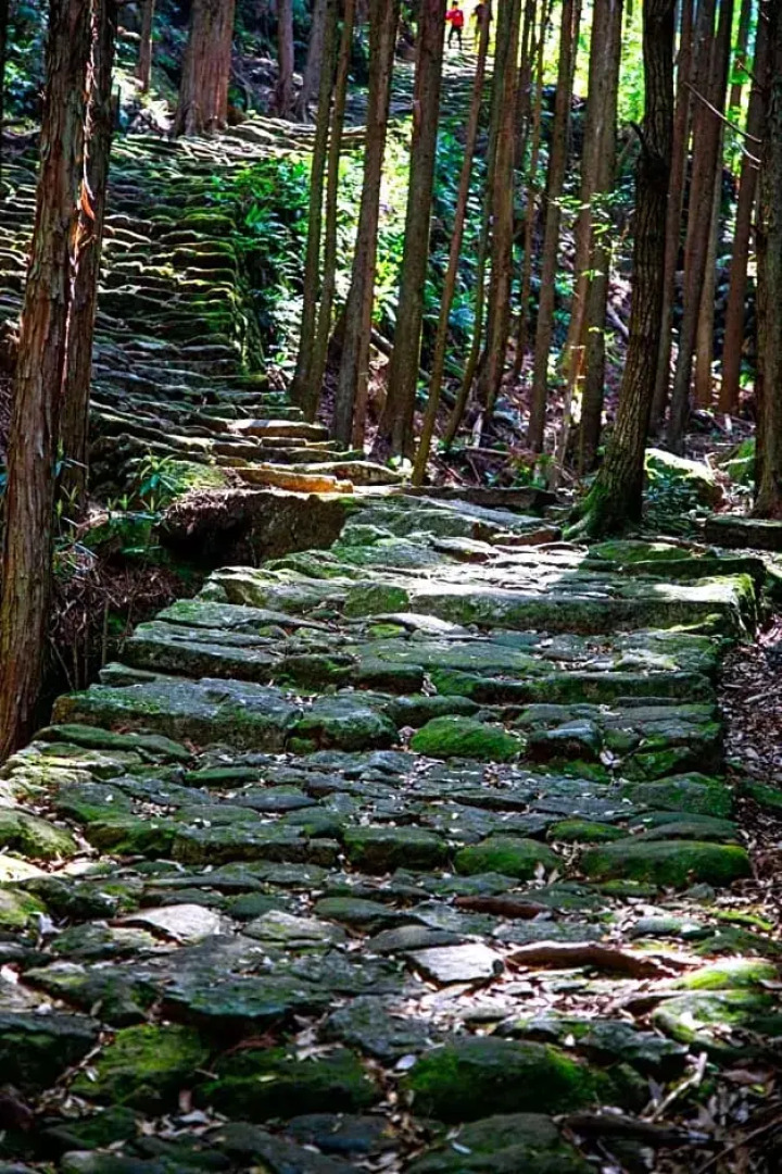 Guest House Oni no Sanpo Michi - Vacation STAY 22112v