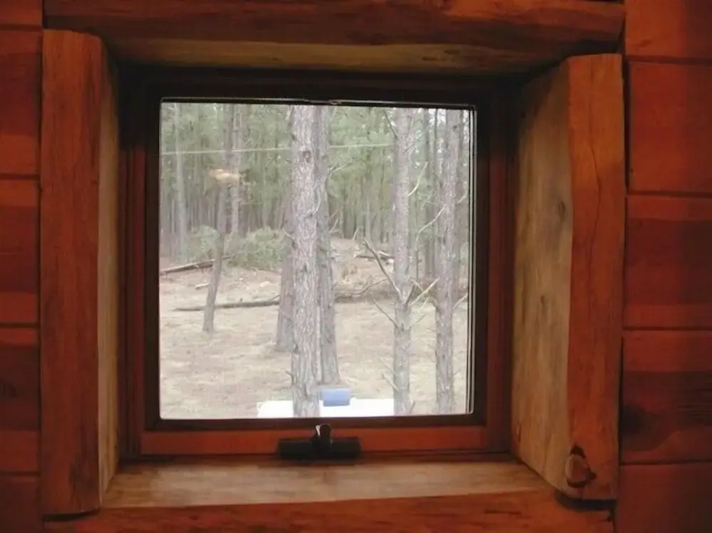 Trails End Lodge