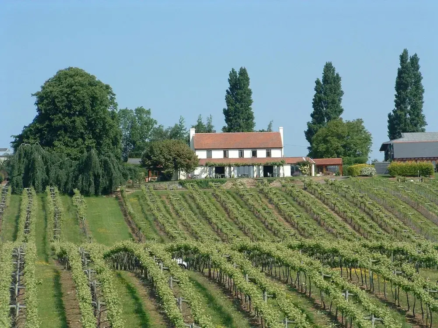 Three Choirs Vineyards
